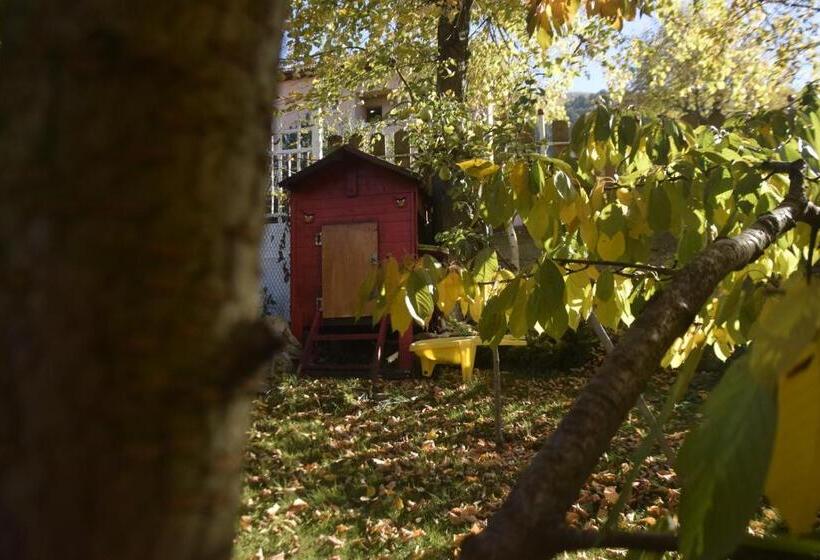 پانسیون Guest House Zdravets