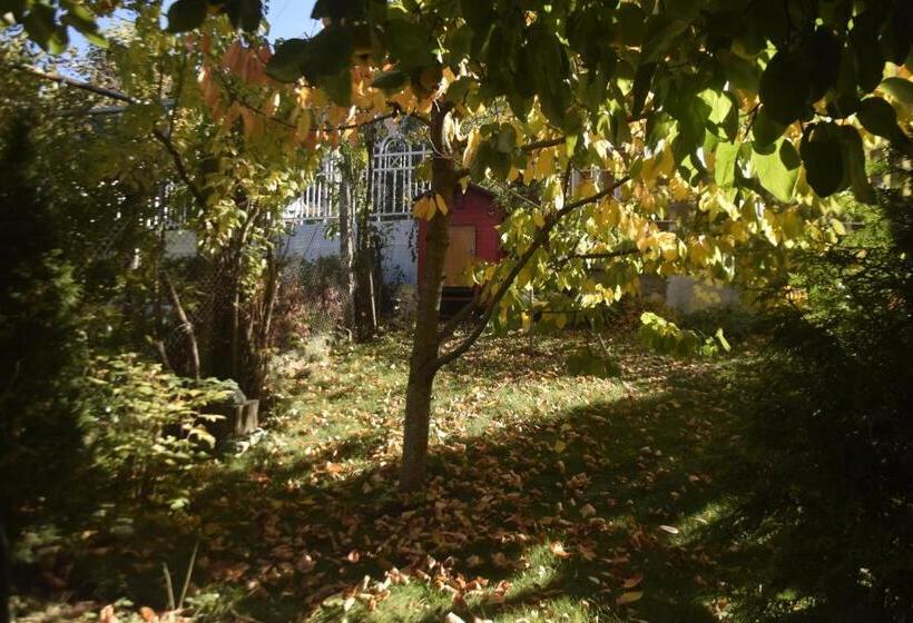 پانسیون Guest House Zdravets