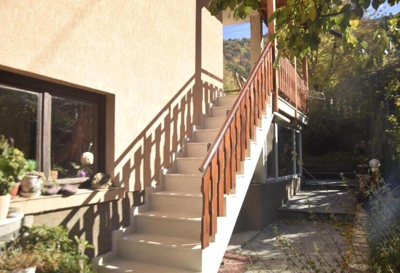 پانسیون Guest House Zdravets