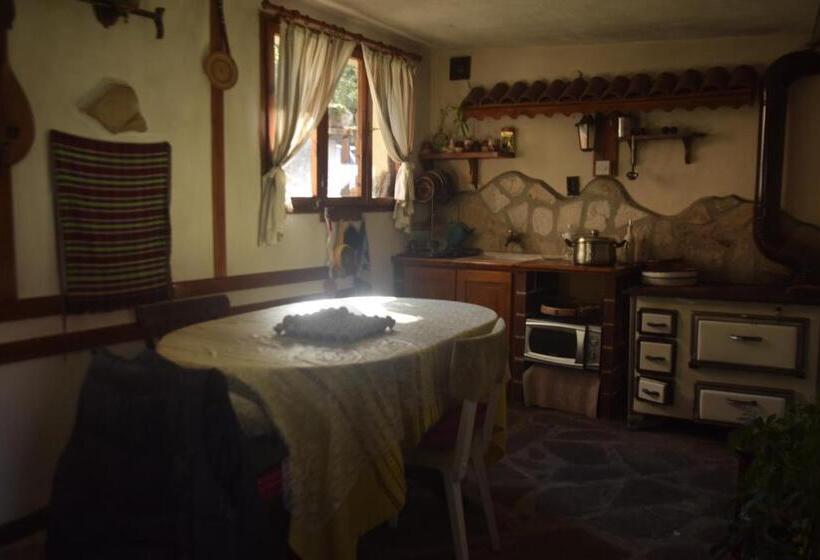 پانسیون Guest House Zdravets