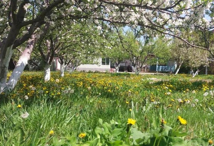 پانسیون Guesthouse Kishimzhan