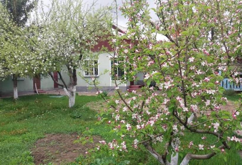 پانسیون Guesthouse Kishimzhan