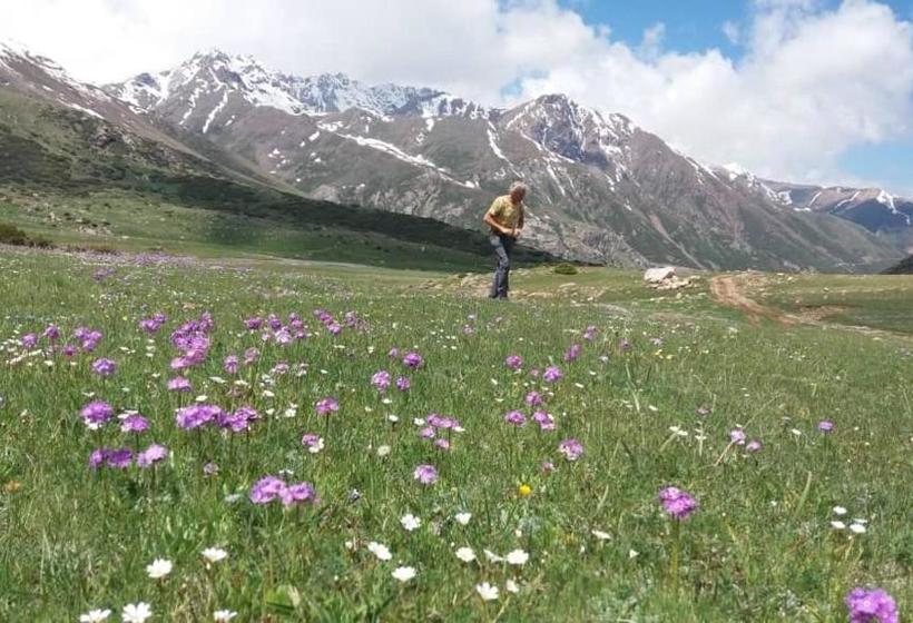 پانسیون Guesthouse Kishimzhan