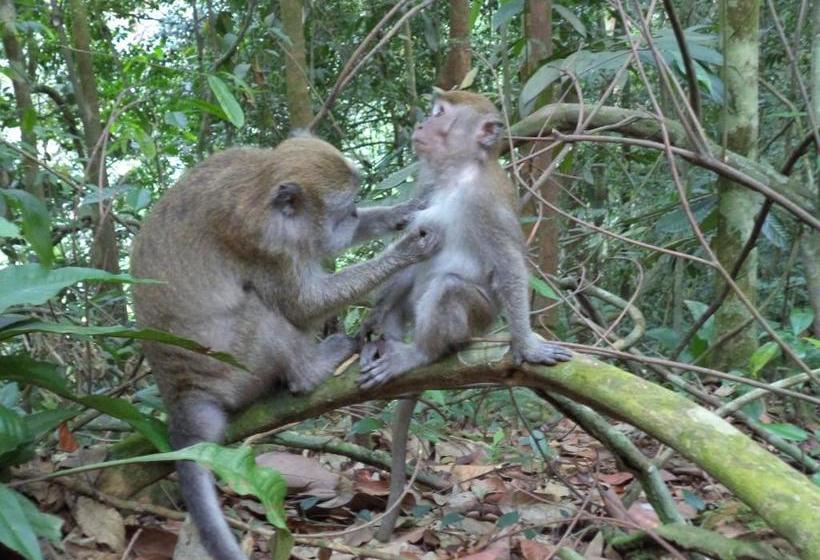 پانسیون Ida Guest House & Jungle Trekking