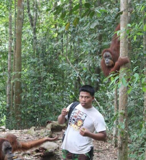 펜션 Ida Guest House & Jungle Trekking