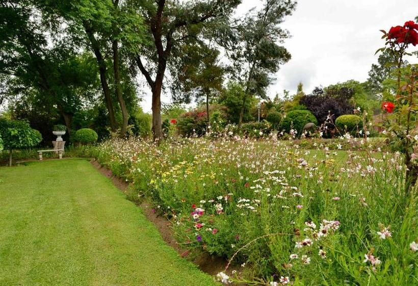 פנסיון Owls Loft Guesthouse