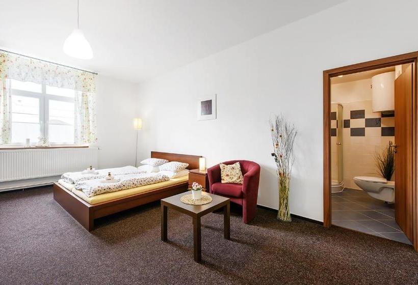 פנסיון Penzion Sole Bučovice