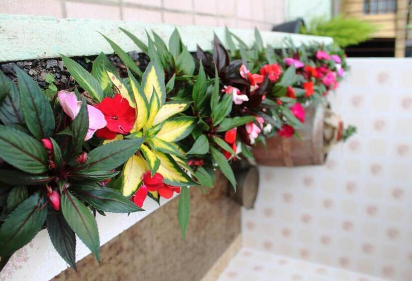 پانسیون Pousada Don Marini