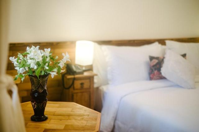 פנסיון Pousada Tucano Do Cuiabá