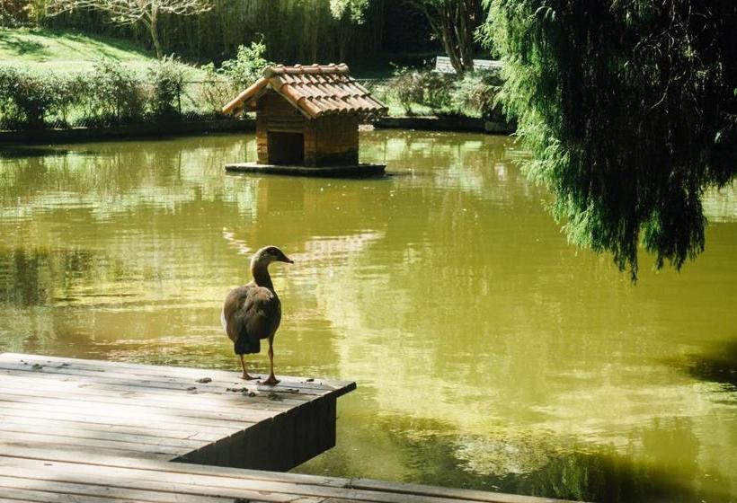 פנסיון Pousada Tucano Do Cuiabá