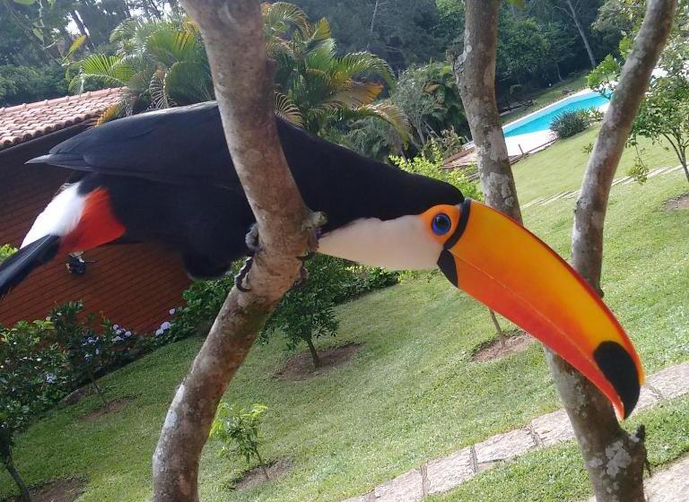 פנסיון Pousada Tucano Do Cuiabá