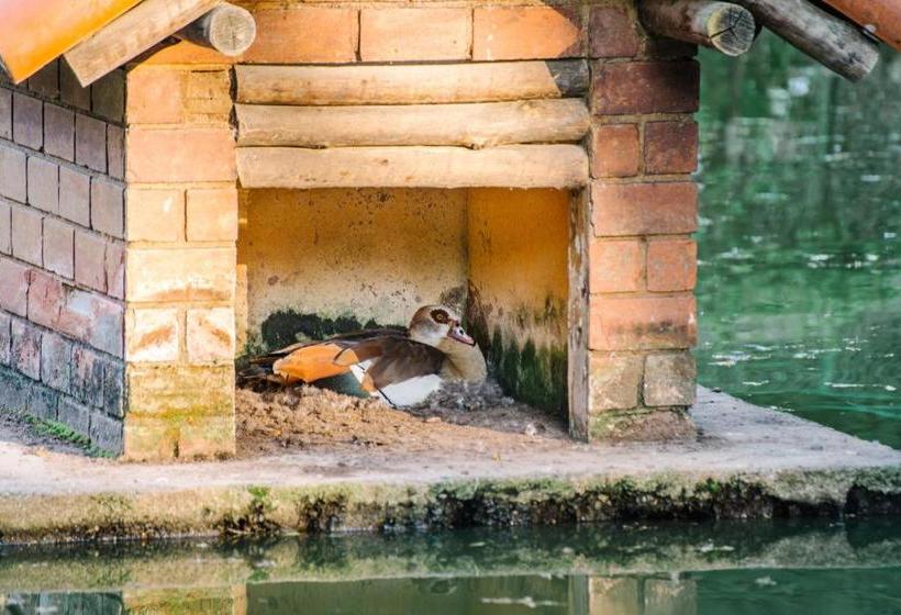 פנסיון Pousada Tucano Do Cuiabá