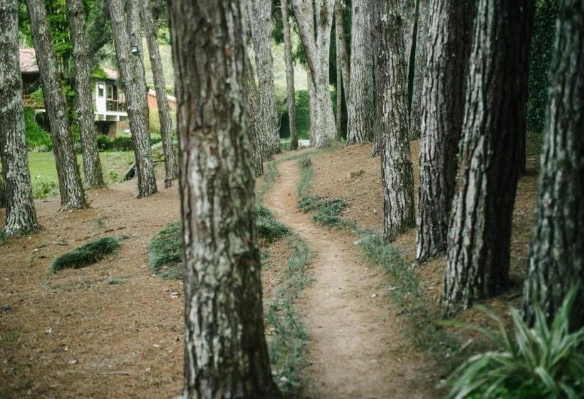 פנסיון Pousada Tucano Do Cuiabá