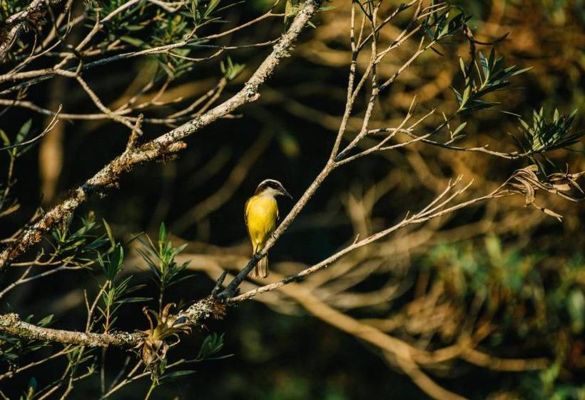 פנסיון Pousada Tucano Do Cuiabá