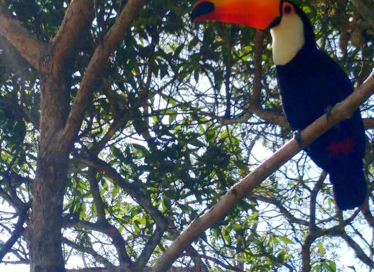 פנסיון Pousada Tucano Do Cuiabá