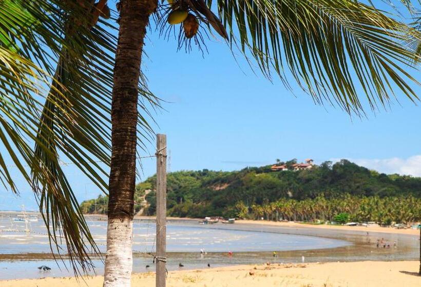 膳宿费 Pousada Venezia Tropicale