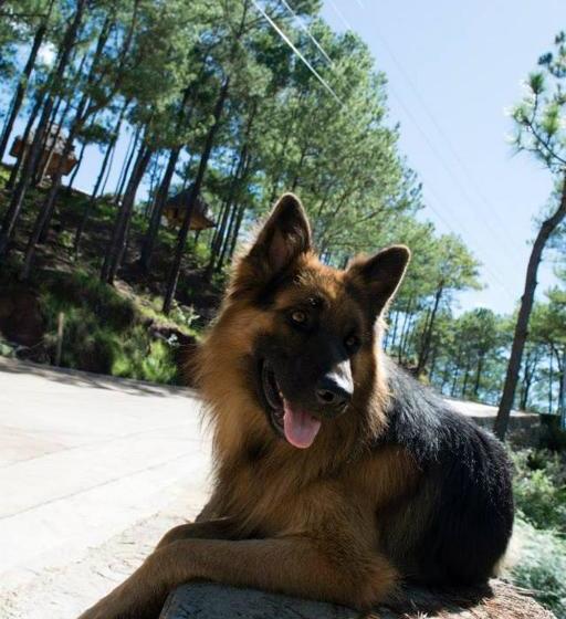 Пансион Sagada Heritage Village