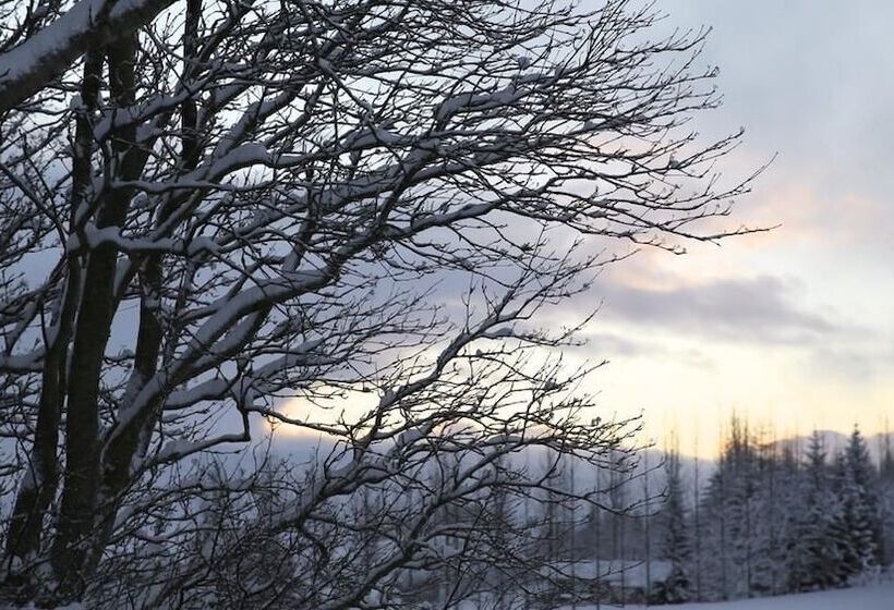 پانسیون Sel Guesthouse