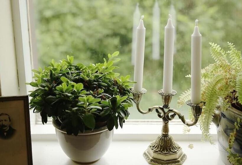 پانسیون Sel Guesthouse