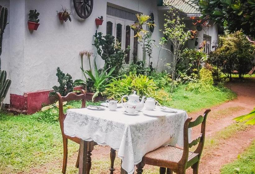 Пансион Shammie Guest House