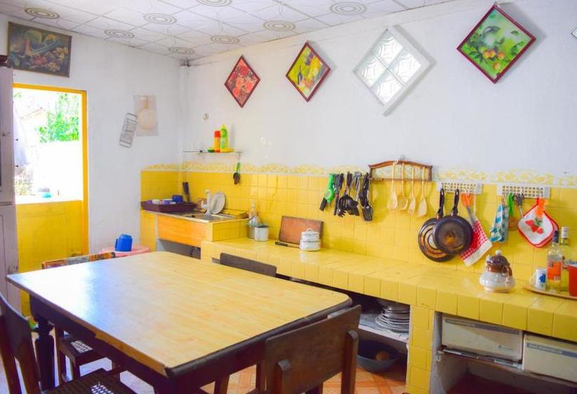 Пансион Shammie Guest House