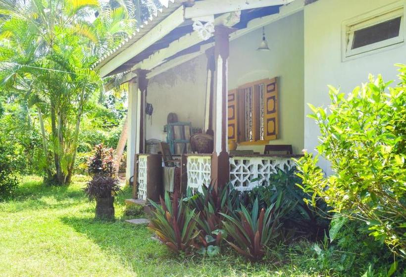 Пансион Shammie Guest House