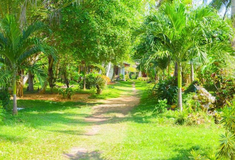 Пансион Shammie Guest House