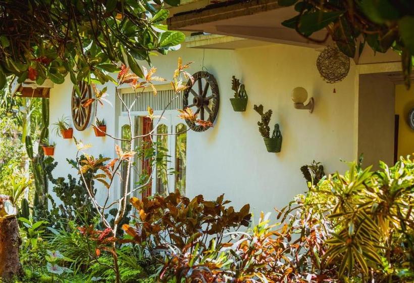 Пансион Shammie Guest House