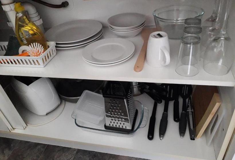 פנסיון Tarawera River Lodge Motel