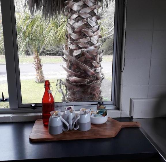 פנסיון Tarawera River Lodge Motel