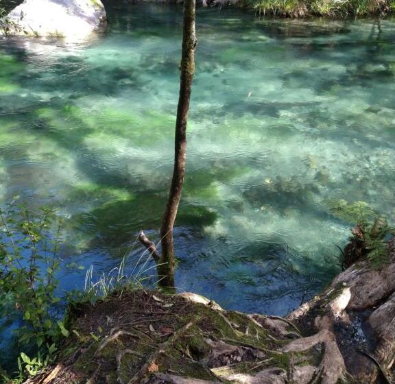 פנסיון Tarawera River Lodge Motel