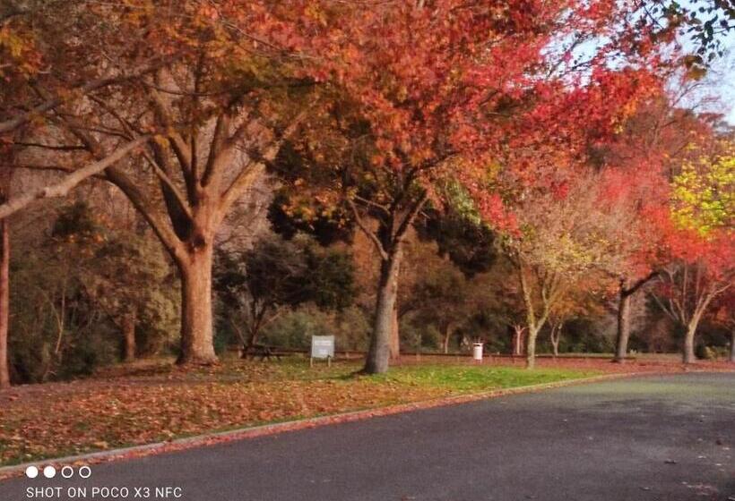 פנסיון Tarawera River Lodge Motel