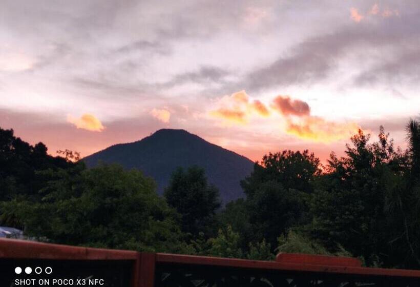 פנסיון Tarawera River Lodge Motel