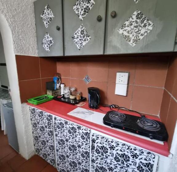 بنسيون The Budget Inn