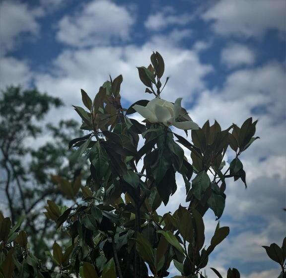 膳宿费 Victoriya's House