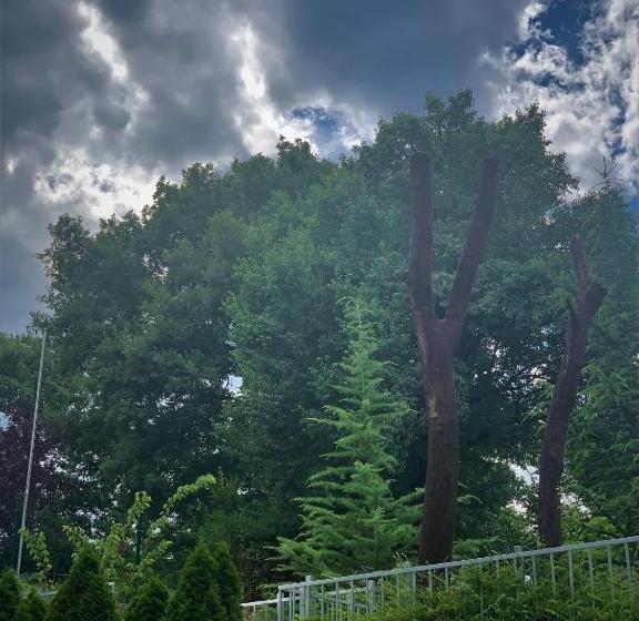 بنسيون Victoriya's House