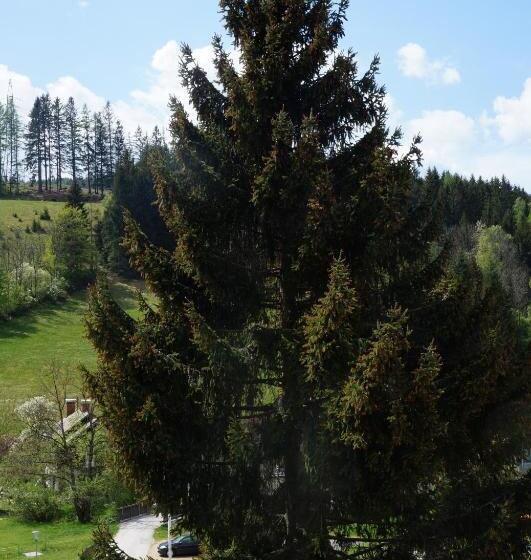 فندق صغير Frühstückspension Gasthof Gesslbauer