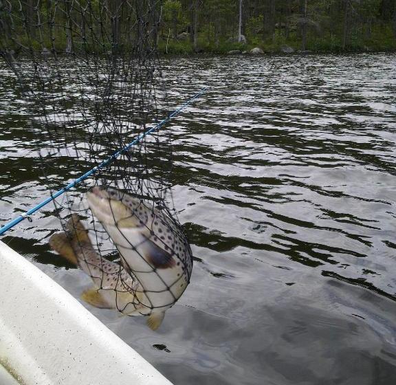 旅馆 Koirasalmen Luontotupa