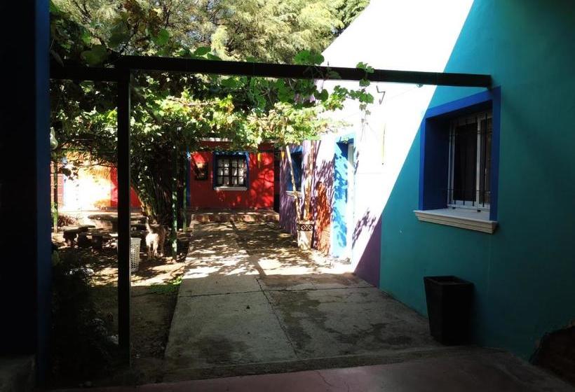 Apart Cabañas De La Plaza