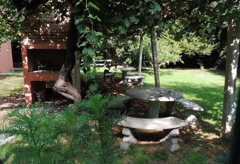 Apart Cabañas De La Plaza