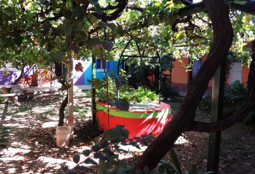 Apart Cabañas De La Plaza