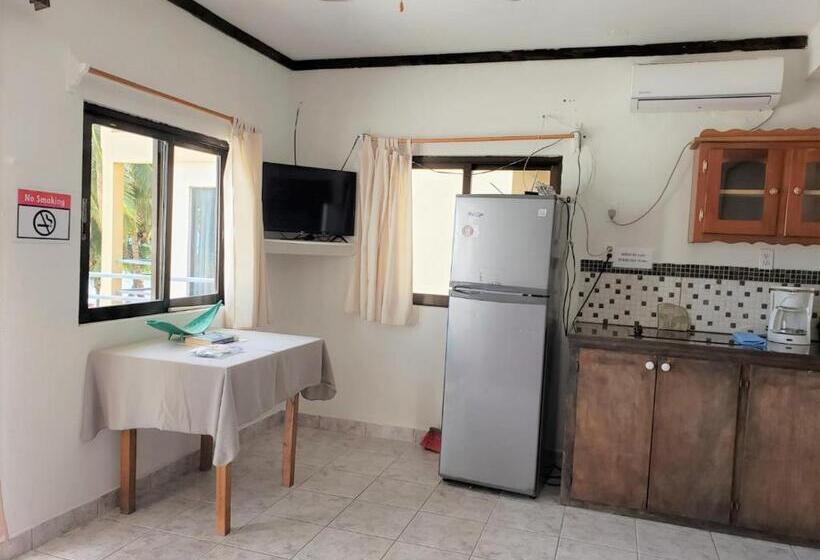 Beach Side Condos Caye Caulker By Ccvh