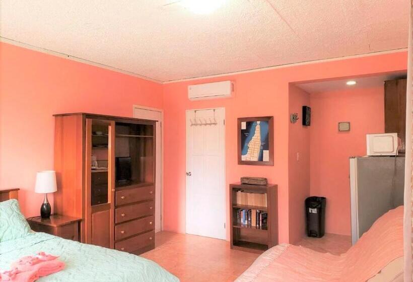 Beach Side Condos Caye Caulker By Ccvh