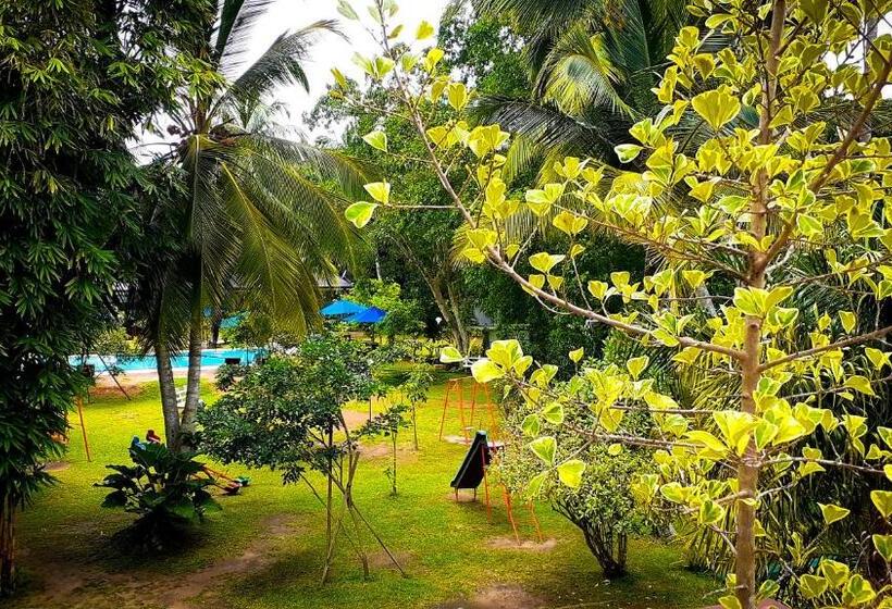 Oreeka   Katunayake Airport Transit Hotels