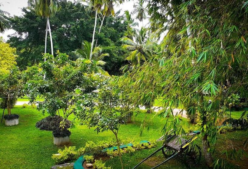 Oreeka   Katunayake Airport Transit Hotels