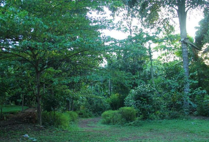 פנסיון Abberny Villa