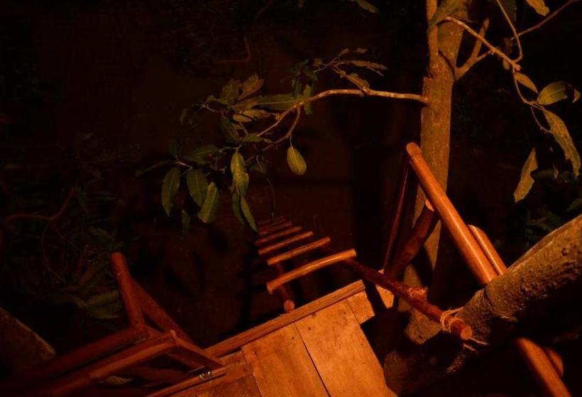 פנסיון Abberny Villa