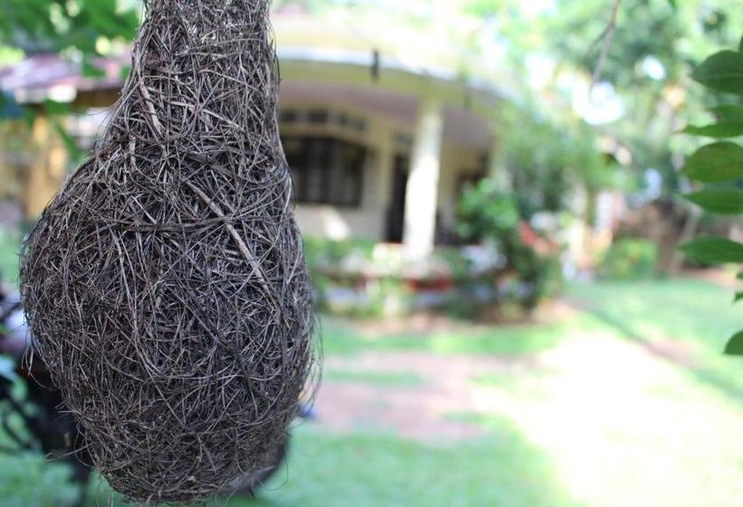 פנסיון Abberny Villa