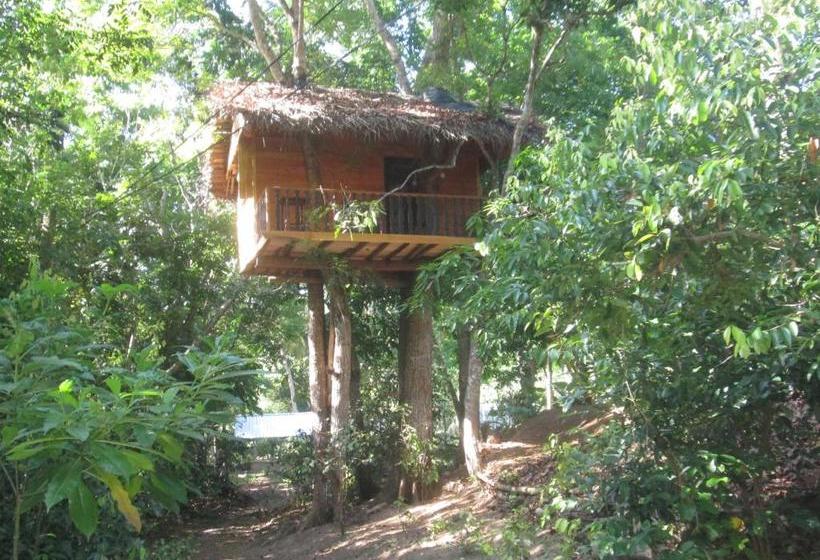 פנסיון Abberny Villa