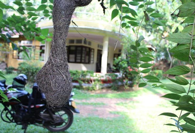 פנסיון Abberny Villa